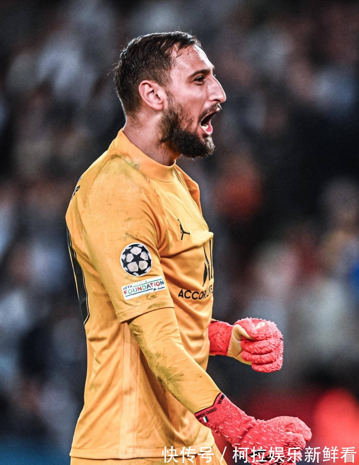 好的律师事务所咨询